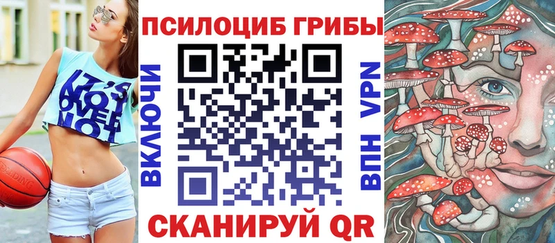 Галлюциногенные грибы Psilocybe закладки Новосокольники