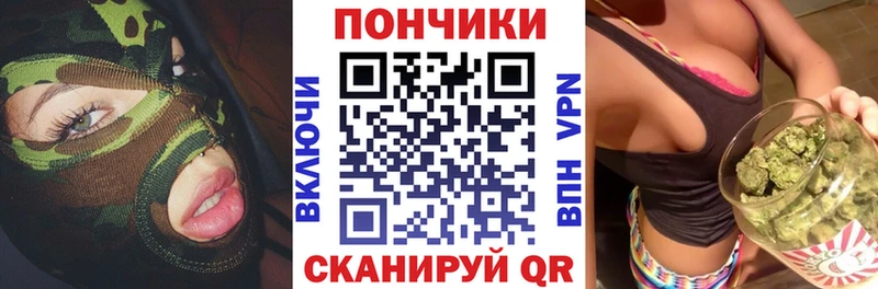 Бошки марихуана планчик  где купить наркоту  Новосокольники 